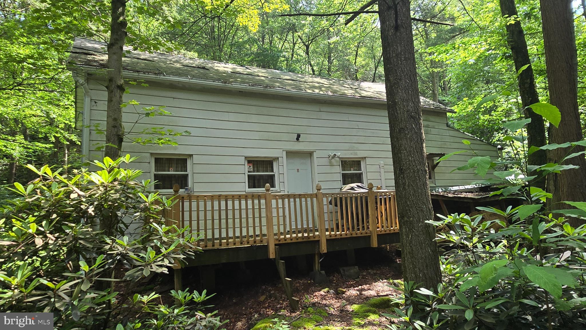 Charming woodland retreat with a welcoming deck.