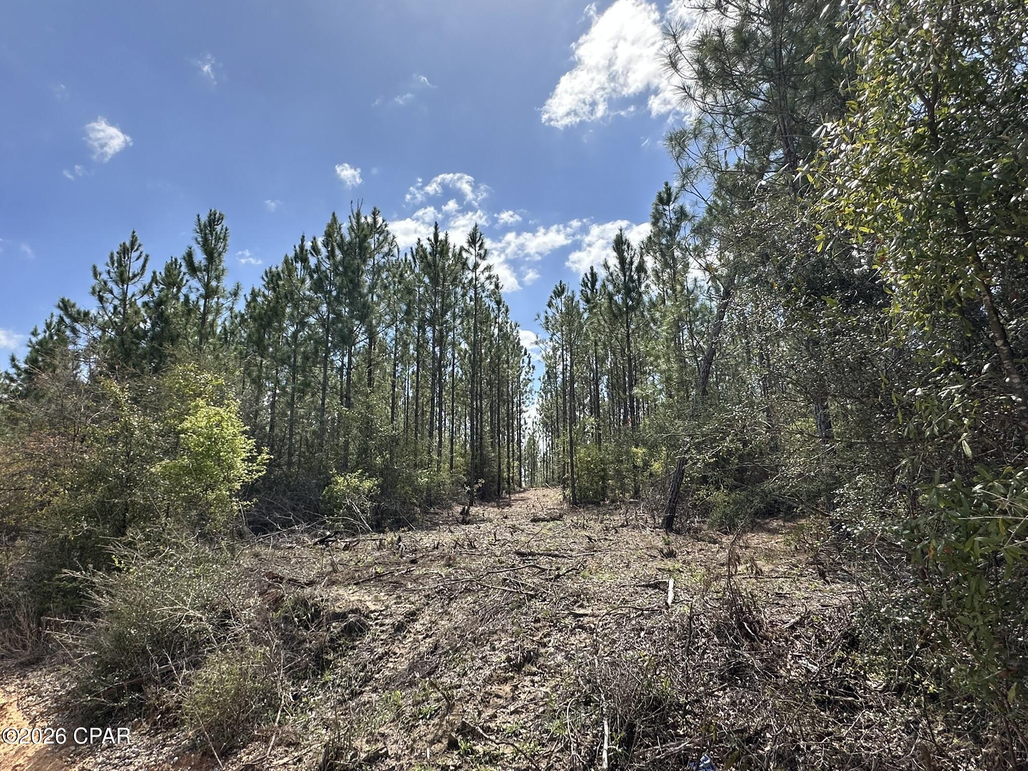 Tract#6418 Mattox Springs Road, Unit S3 Caryville, FL 32427 - Photo 3 of 4