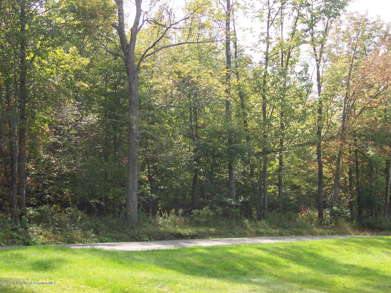 655 Thorn Hill Road Thompson, PA 18465 - Photo 2 of 9 Front of land