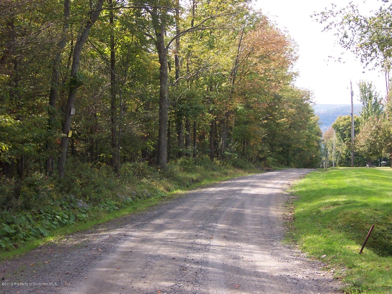 655 Thorn Hill Road Thompson, PA 18465 - Photo 3 of 9 Road Frontage
