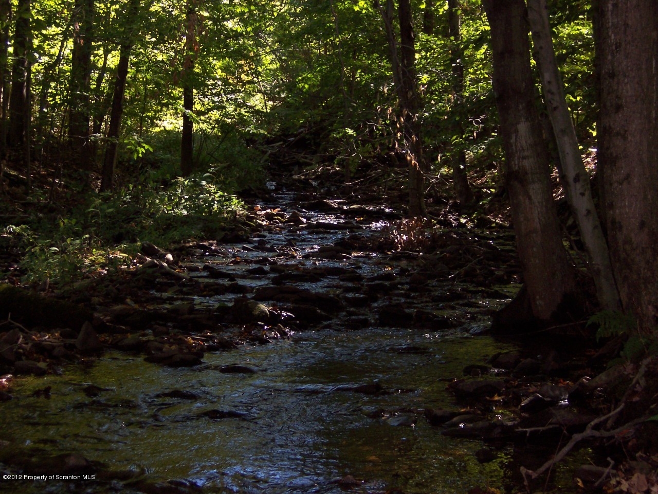 655 Thorn Hill Road Thompson, PA 18465 - Photo 5 of 9 Stream