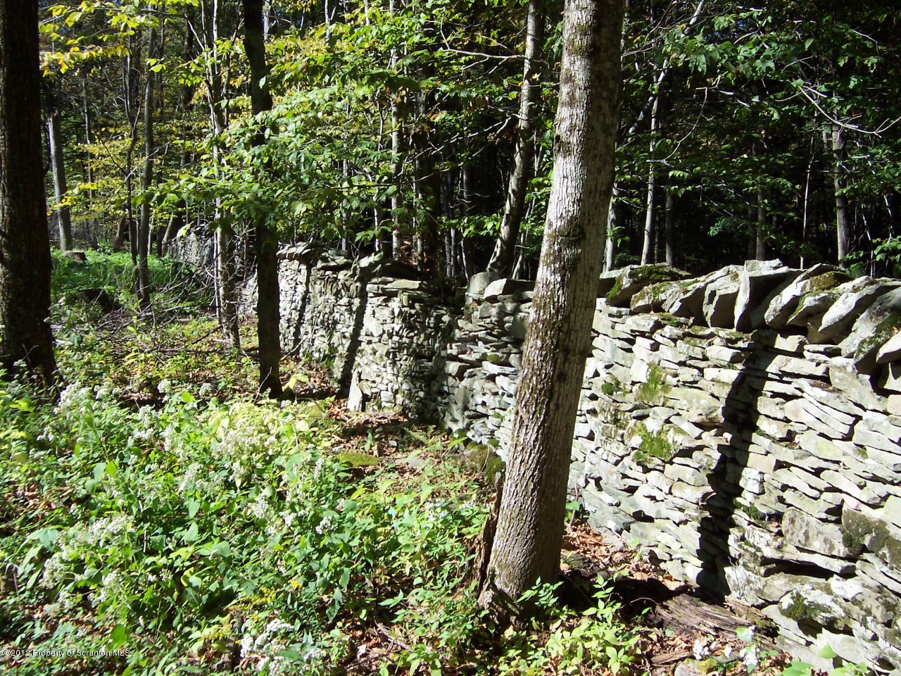 655 Thorn Hill Road Thompson, PA 18465 - Photo 6 of 9 Stone Wall Boundary