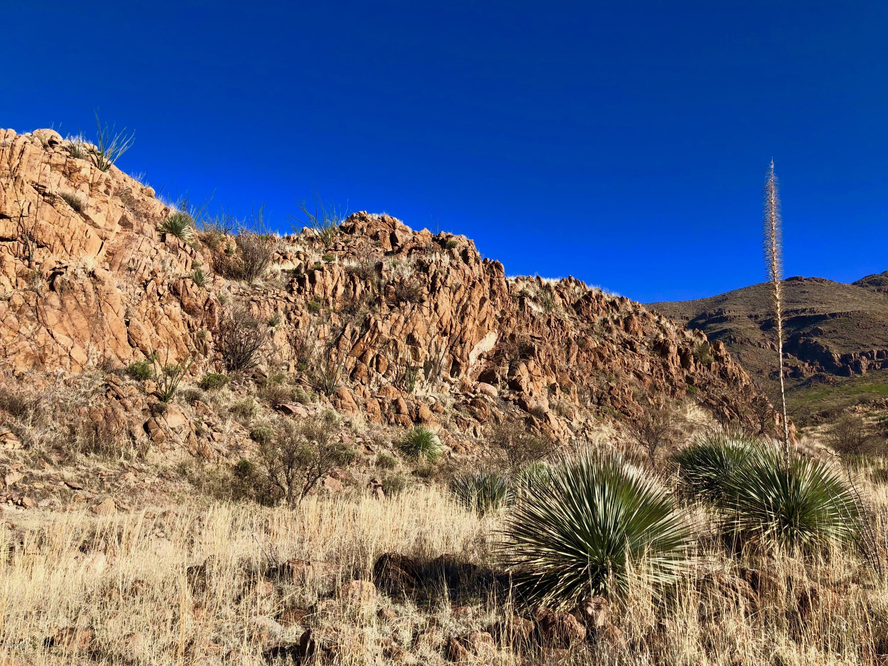61 Salida Springs Way, Unit 139/7 Rio Rico, AZ 85648 - Photo 15 of 28