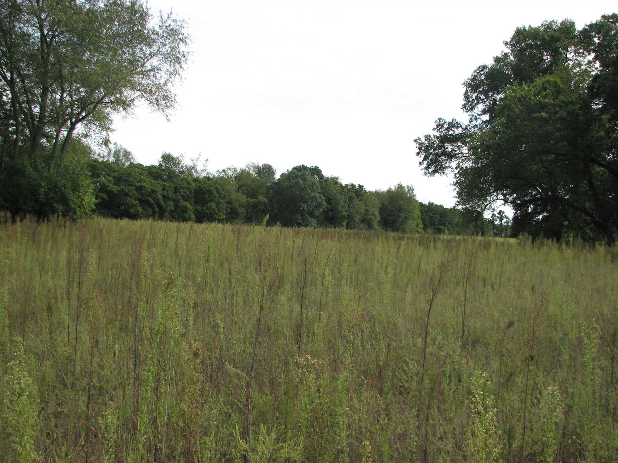 11818-tba East Division Road Knox, IN 46534 - Photo 14 of 33 Gallery Image 14