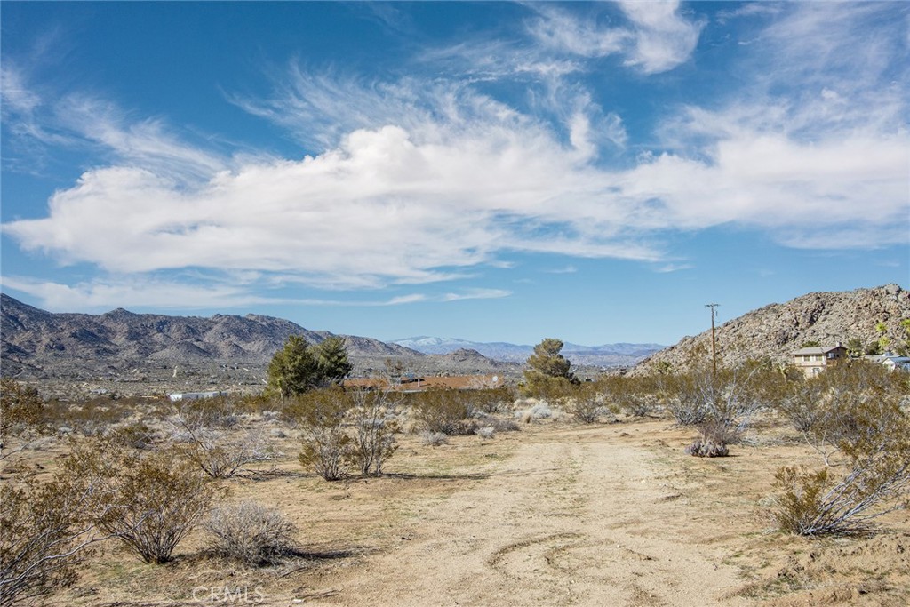 8776 Uphill Road Joshua Tree, CA 92252 - Photo 6 of 17