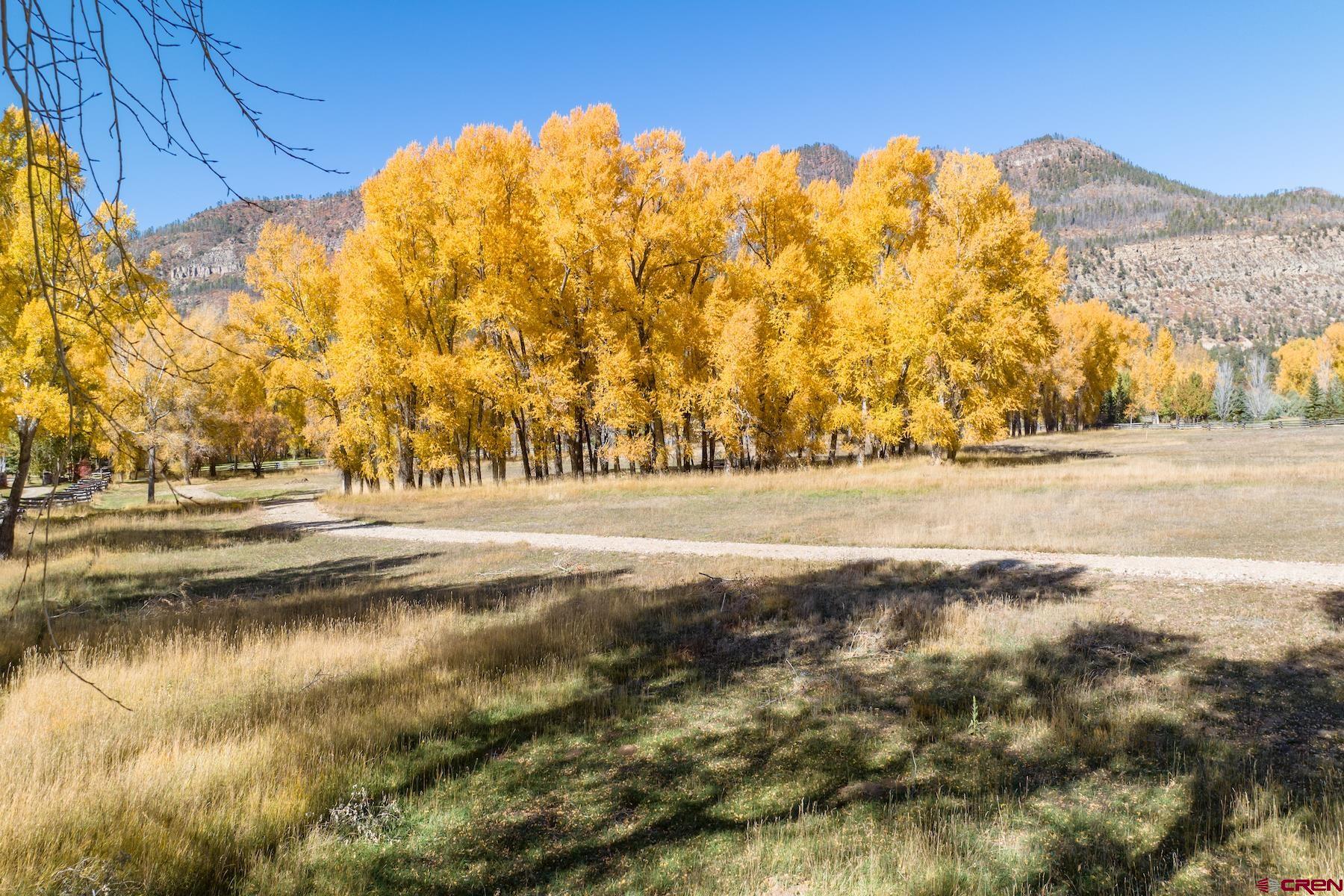 250 County Road 250 Durango, CO 81301 - Photo 27 of 32 a view of lake view
