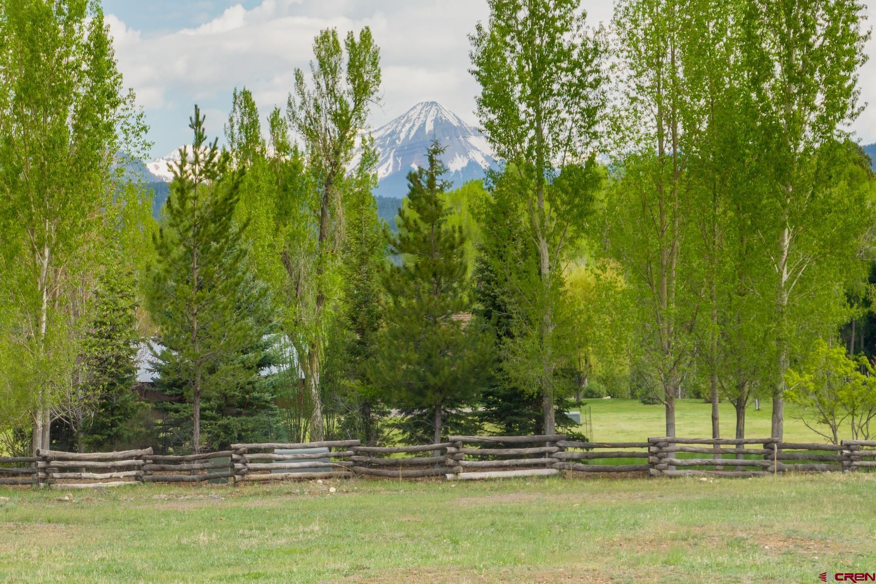 250 County Road 250 Durango, CO 81301 - Photo 10 of 32 a view of a yard