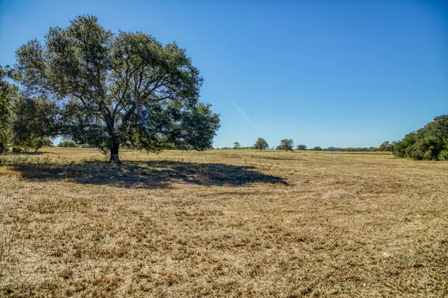 a view of ocean view with large trees