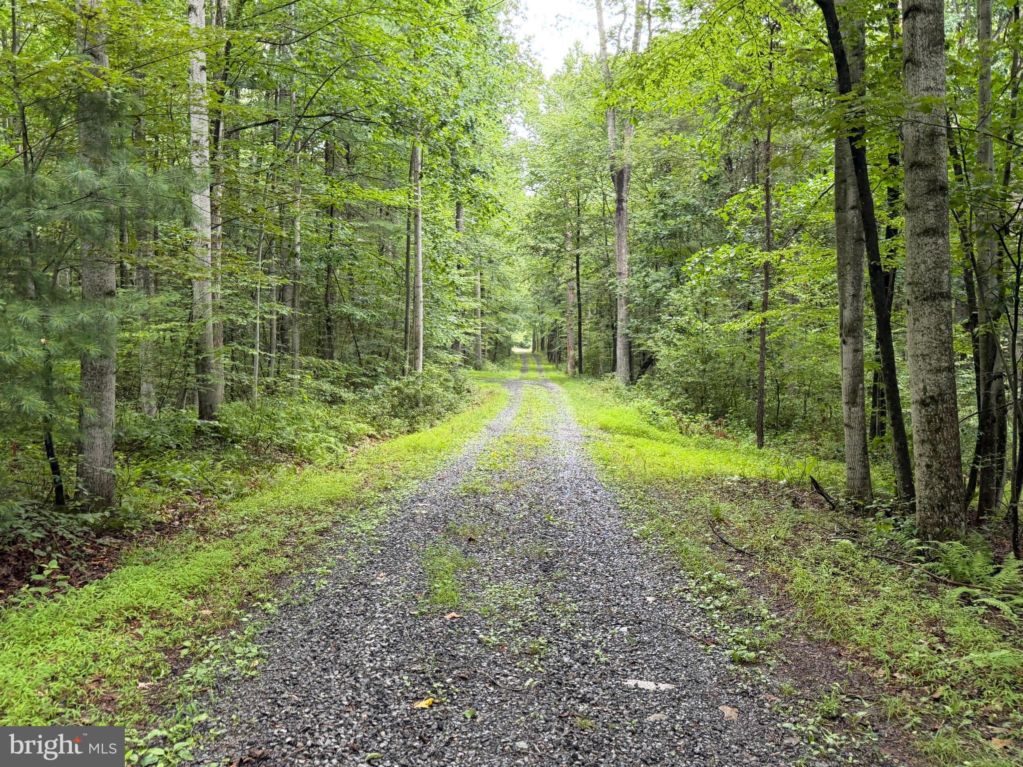 17147 Sugar Run Road Shirleysburg, PA 17260 - Photo 142 of 148