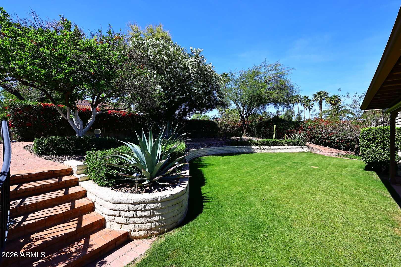 5426 South Lighthouse Lane Tempe, AZ 85283 - Photo 42 of 60 a view of a backyard with plants and a patio