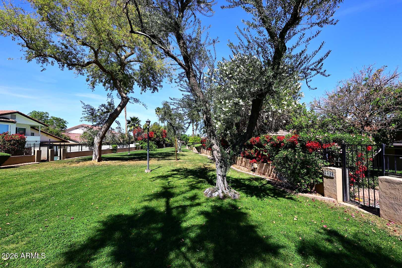 5426 South Lighthouse Lane Tempe, AZ 85283 - Photo 48 of 60 a view of a garden with a tree in the garden