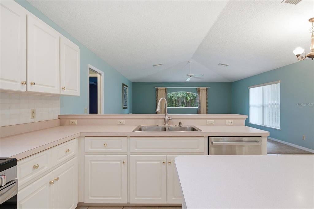 1204 North Mediterranean Way Inverness, FL 34453 - Photo 23 of 62 Gallery Image 23
