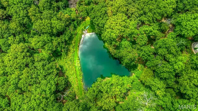 $3,995,000 | 4 Upper Whitmoor Drive, Weldon Spring, MO 63304