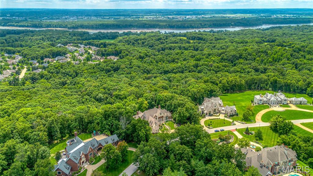4 Upper Whitmoor Drive Weldon Spring, MO 63304 - Photo 12 of 97