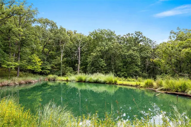$3,995,000 | 4 Upper Whitmoor Drive, Weldon Spring, MO 63304