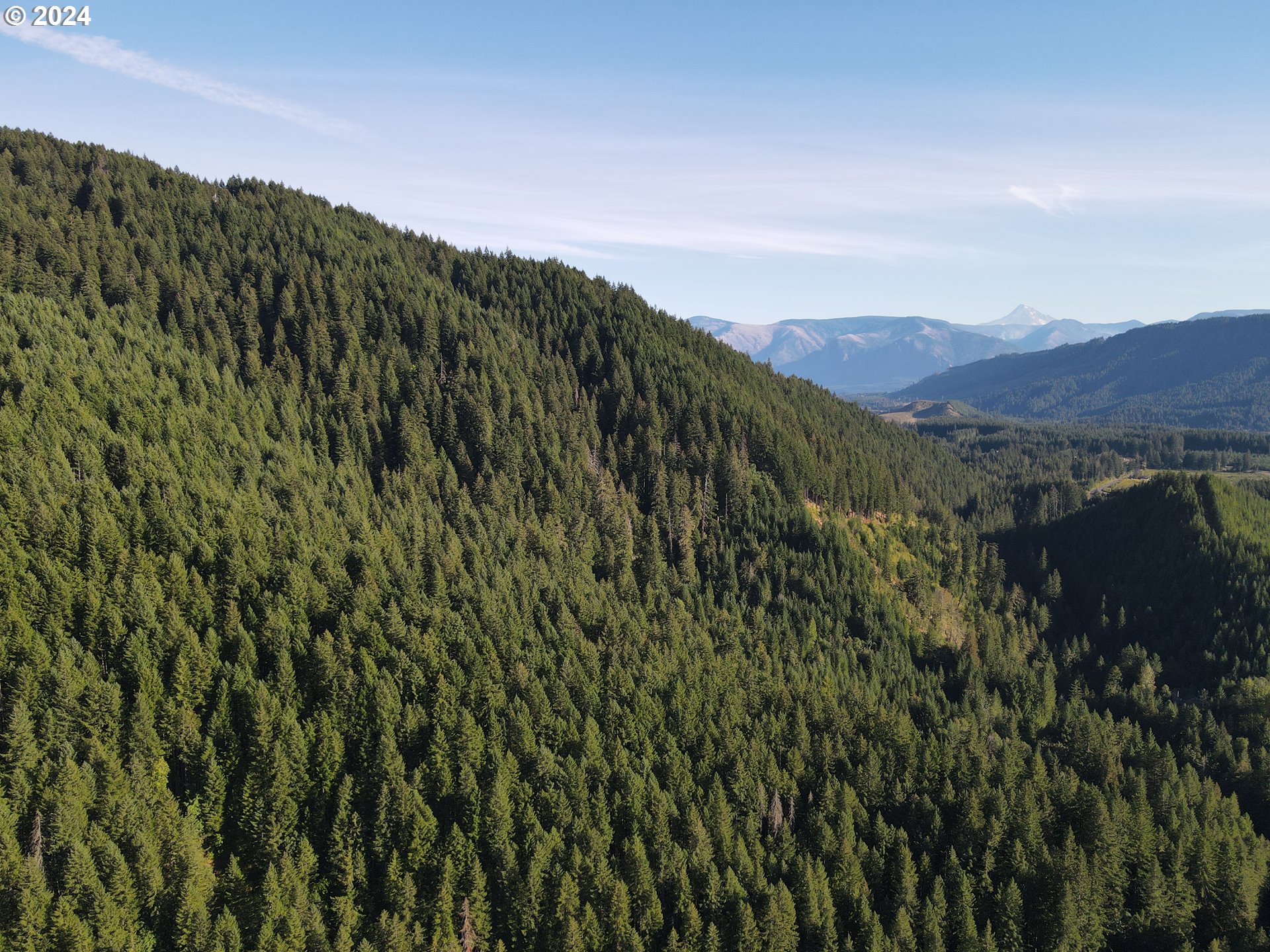 Cedar Creek Road Carson, WA 98610 - Photo 1 of 12 a view of a city with a mountain in the background