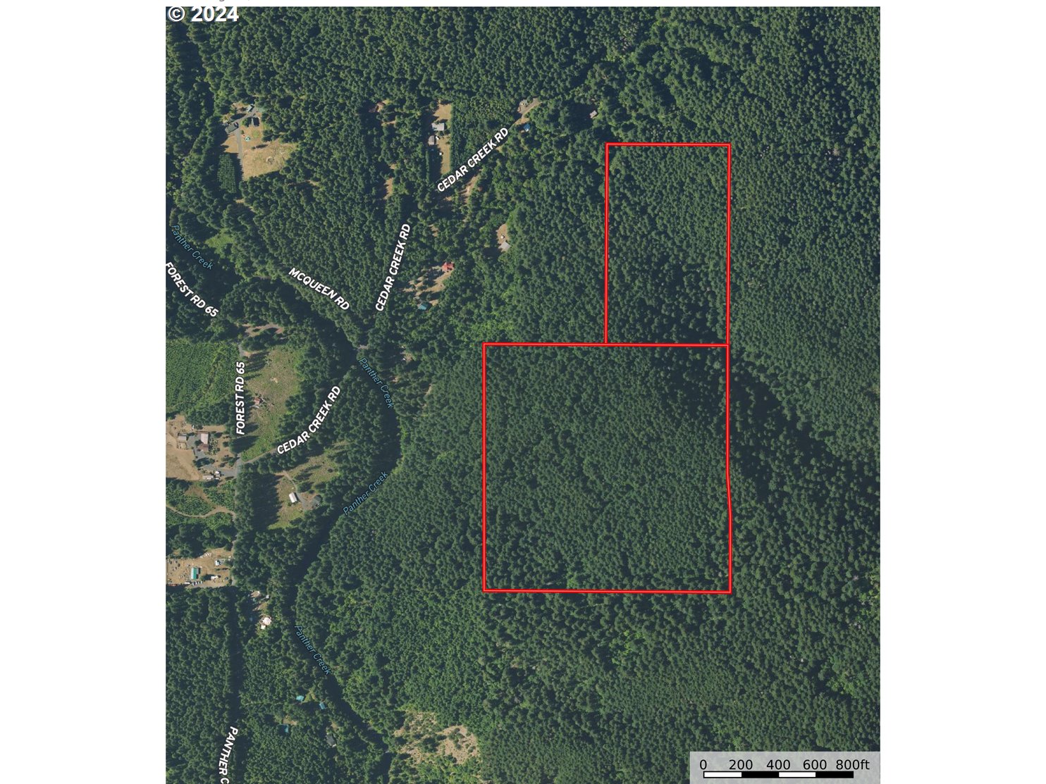 Cedar Creek Road Carson, WA 98610 - Photo 11 of 12