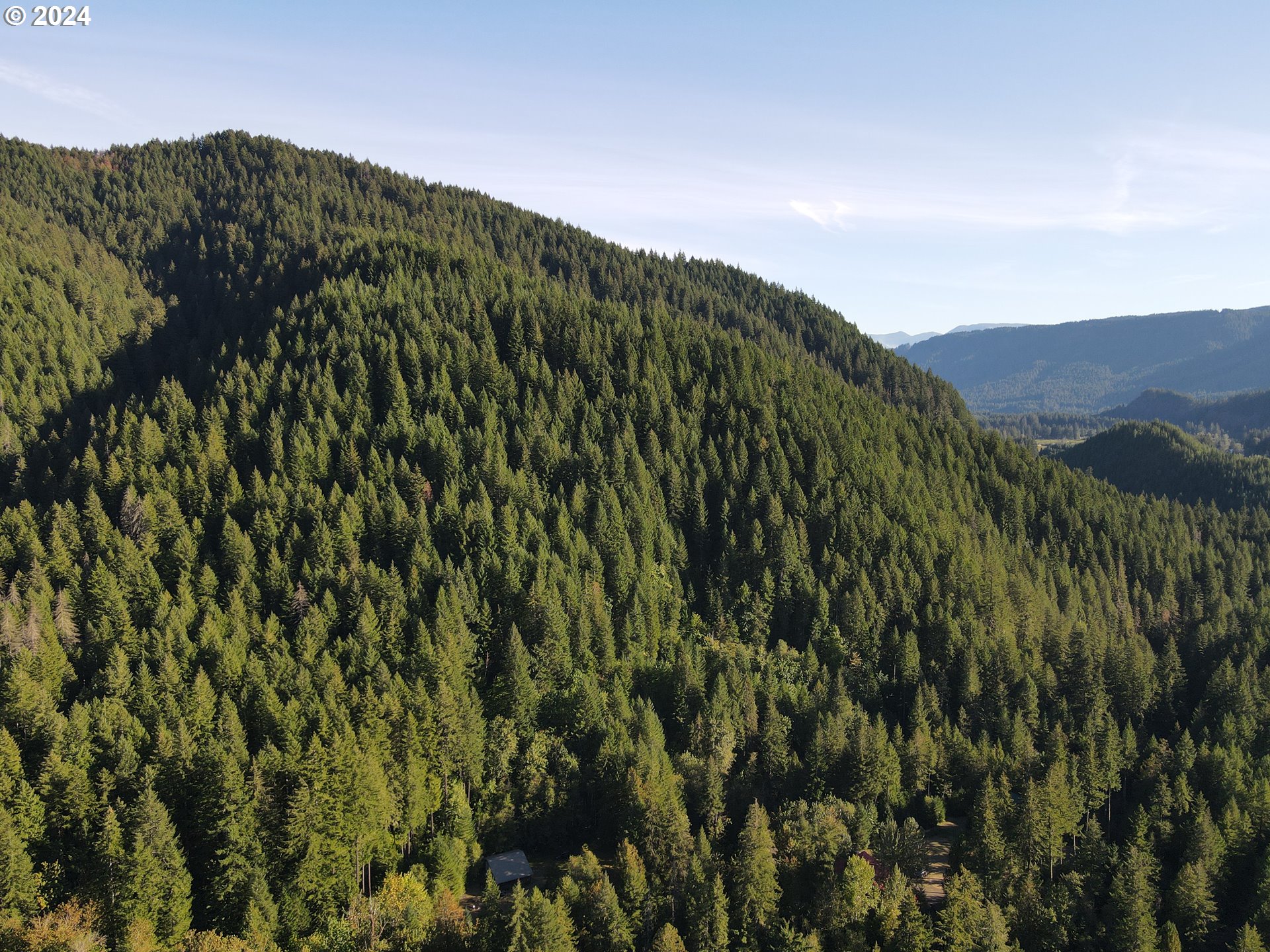 Cedar Creek Road Carson, WA 98610 - Photo 2 of 12 a view of a large tree