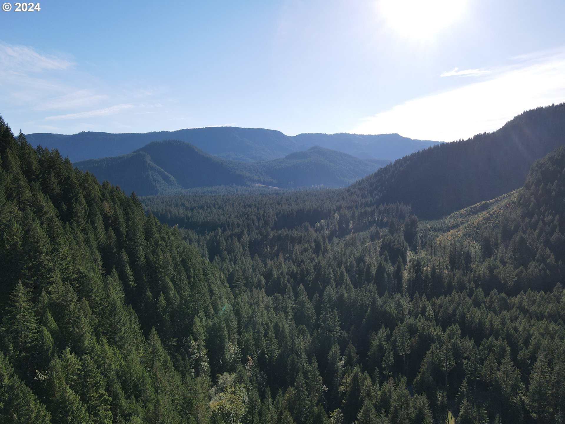 Cedar Creek Road Carson, WA 98610 - Photo 3 of 12 a view of a lush green hillside and a mountain