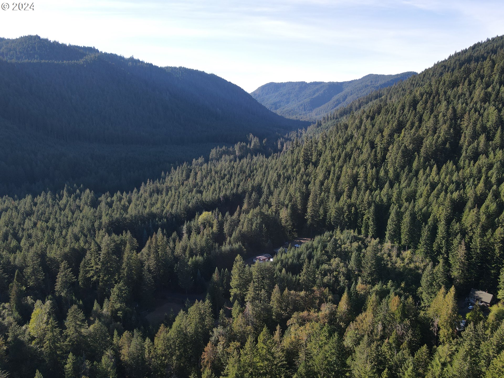 Cedar Creek Road Carson, WA 98610 - Photo 6 of 12 a view of a house with a lush green forest
