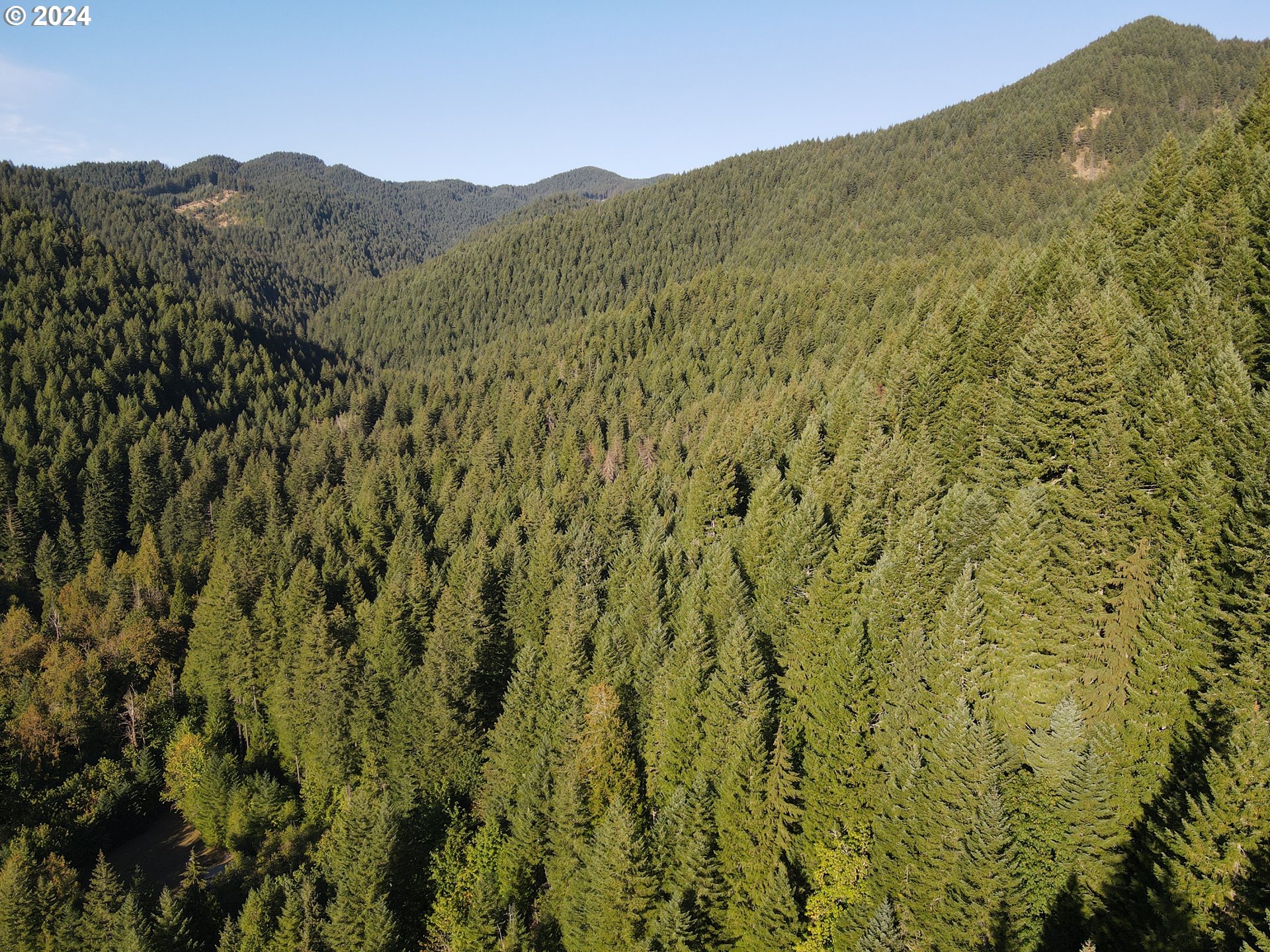 Cedar Creek Road Carson, WA 98610 - Photo 7 of 12 a view of a lush green forest with a mountain