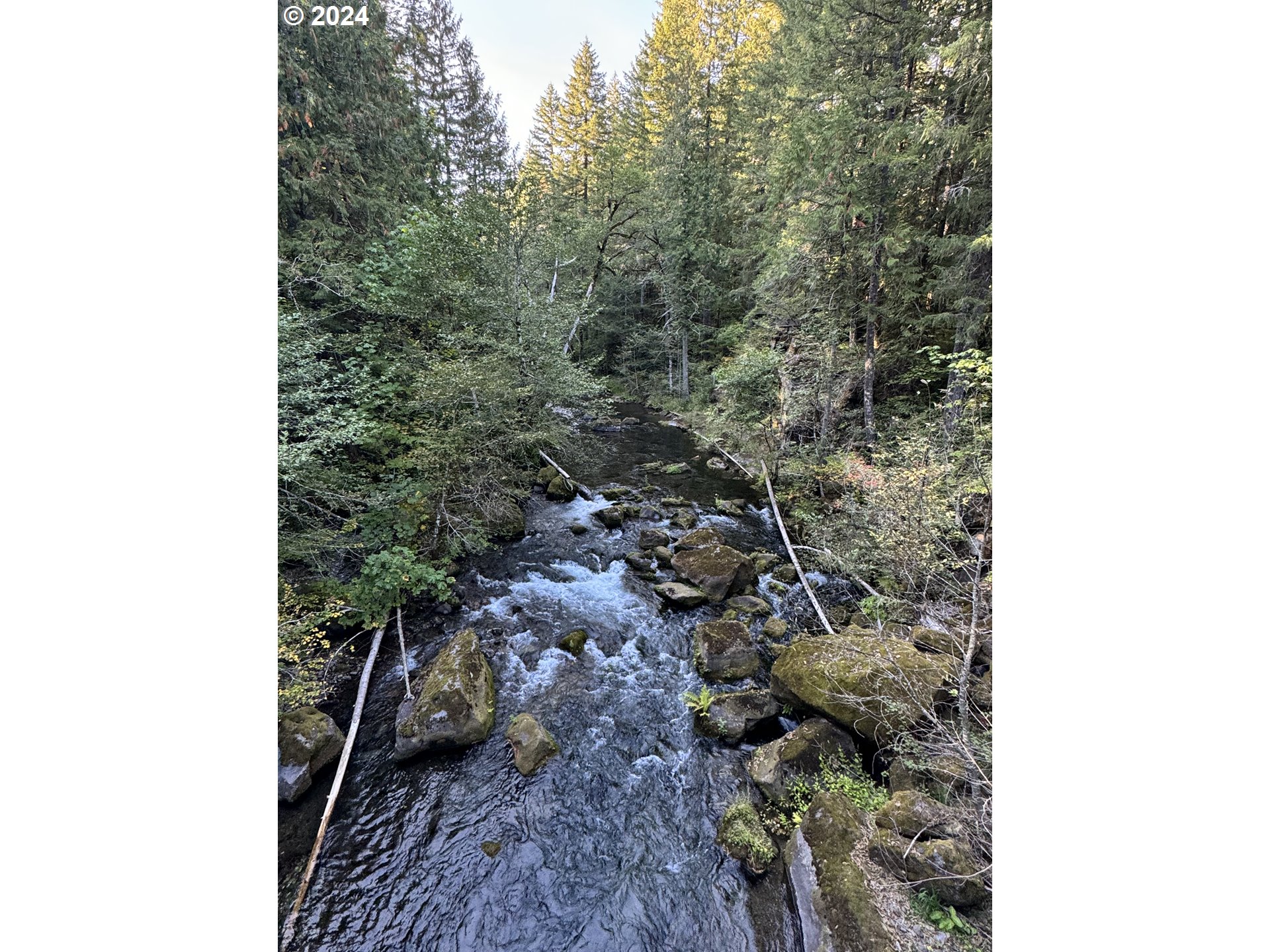 Cedar Creek Road Carson, WA 98610 - Photo 8 of 12