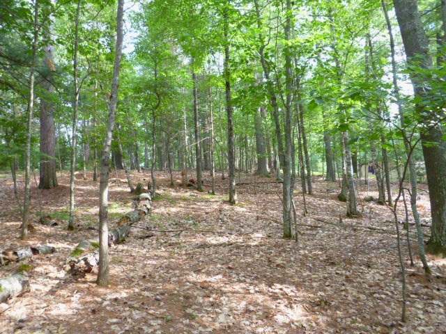 1555 Silver Lake Road, Unit ADJ TO Eagle River, WI 54521 - Photo 4 of 19 Gallery Image 4