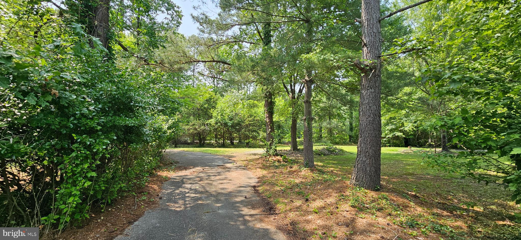 1110 Cherry Point Road West River, MD 20778 - Photo 10 of 16