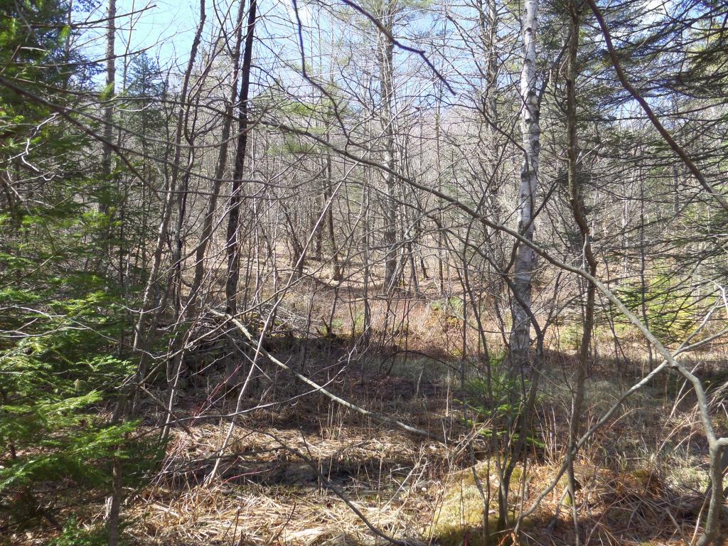 0 Wheeler Hill Road East Calais, VT 05650 - Photo 1 of 5 Gallery Image 1