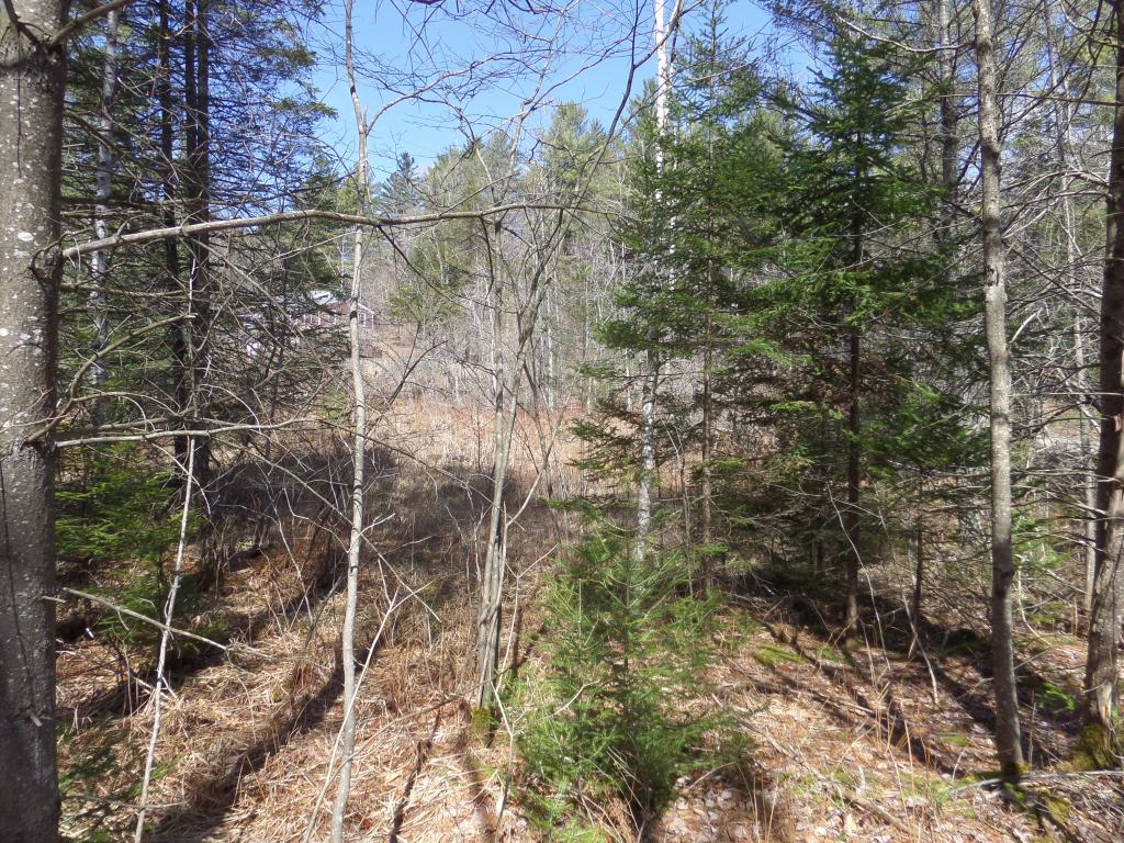 0 Wheeler Hill Road East Calais, VT 05650 - Photo 3 of 5 Gallery Image 3