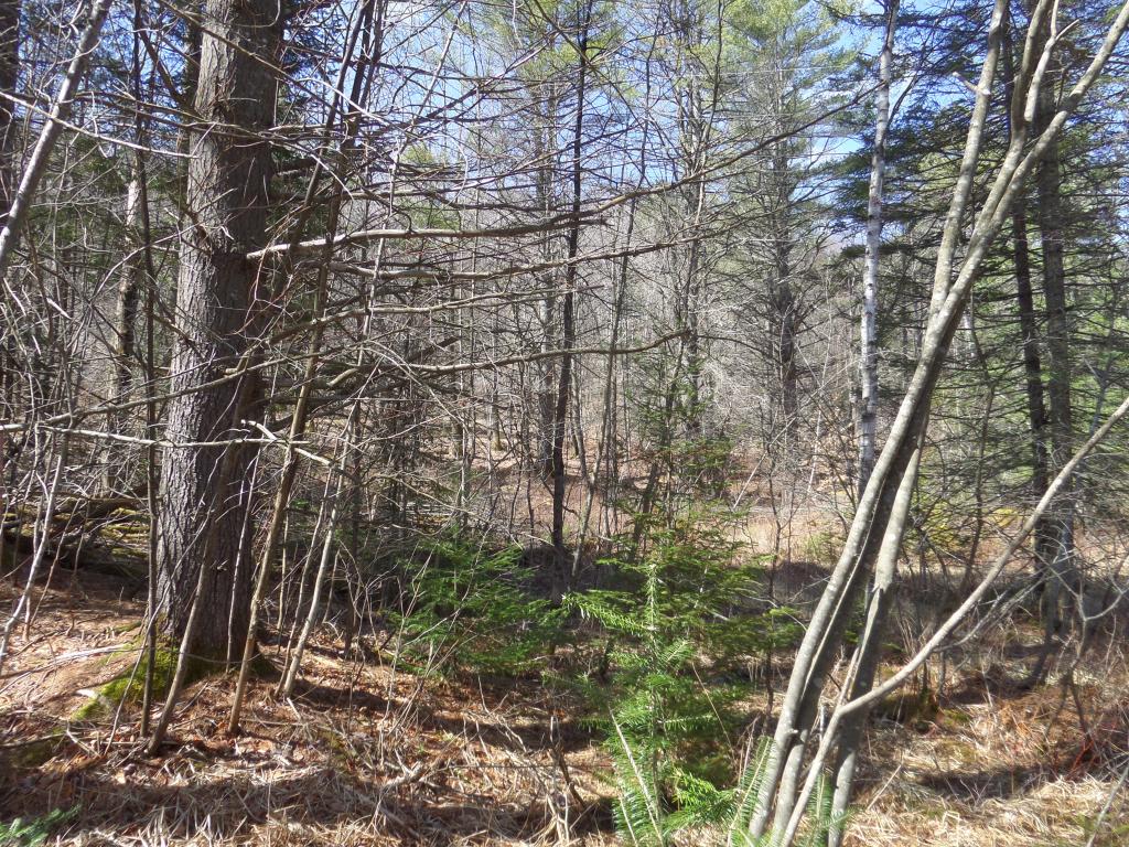 0 Wheeler Hill Road East Calais, VT 05650 - Photo 4 of 5 Gallery Image 4