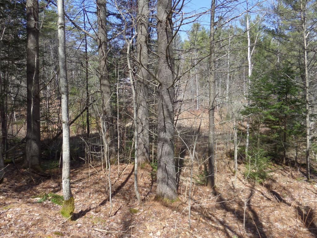0 Wheeler Hill Road East Calais, VT 05650 - Photo 5 of 5 Gallery Image 5