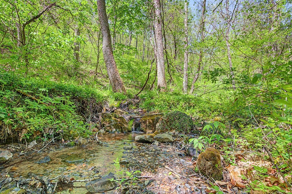 805 Sunset River Road Ceres, VA 24318 - Photo 62 of 77 Gallery Image 62