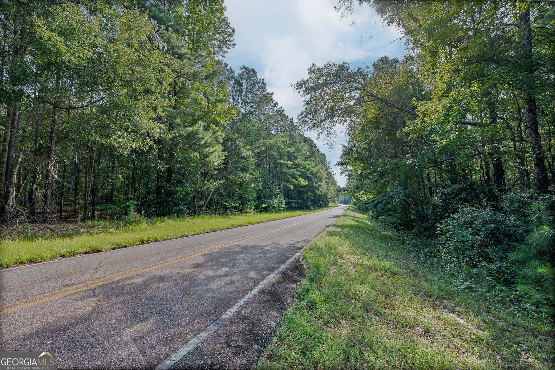 2 Balerma Church Road Sparta, GA 31087 - Photo 13 of 16 a view of a yard with a plants and trees
