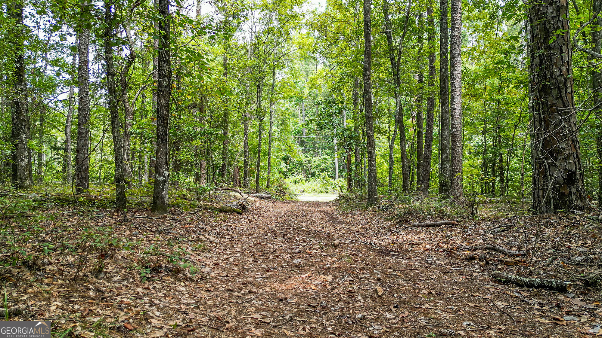 2 Balerma Church Road Sparta, GA 31087 - Photo 15 of 16 a backyard of a house with lots of green space