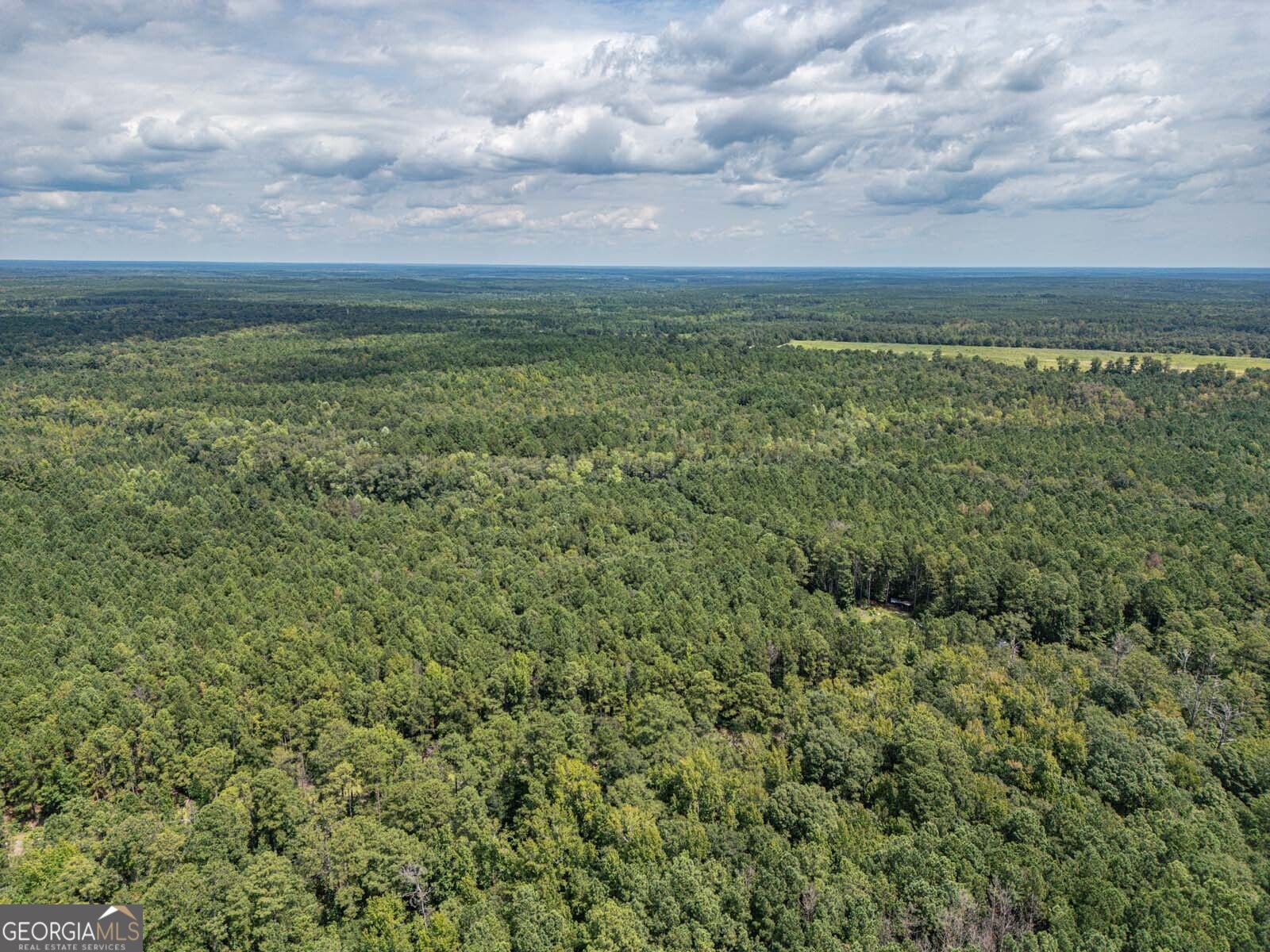 2 Balerma Church Road Sparta, GA 31087 - Photo 10 of 16 a view of a big yard with lots of green space
