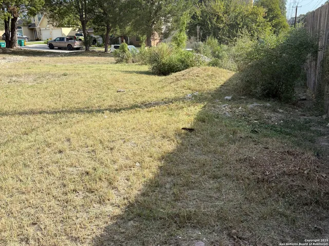 a view of a yard with an trees