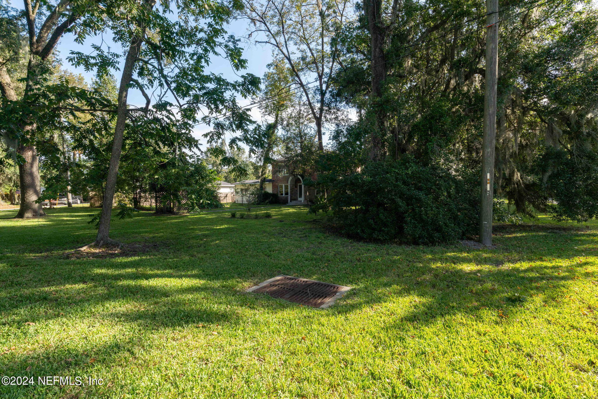 33 River Road Orange Park, FL 32073 - Photo 69 of 81 Mature Trees