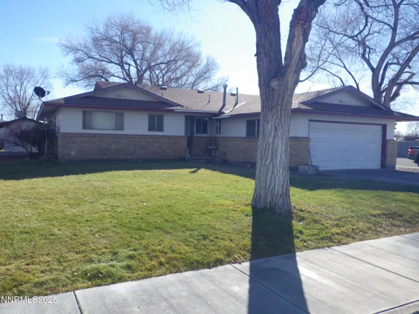 a view of a yard in front of a house with a large tree