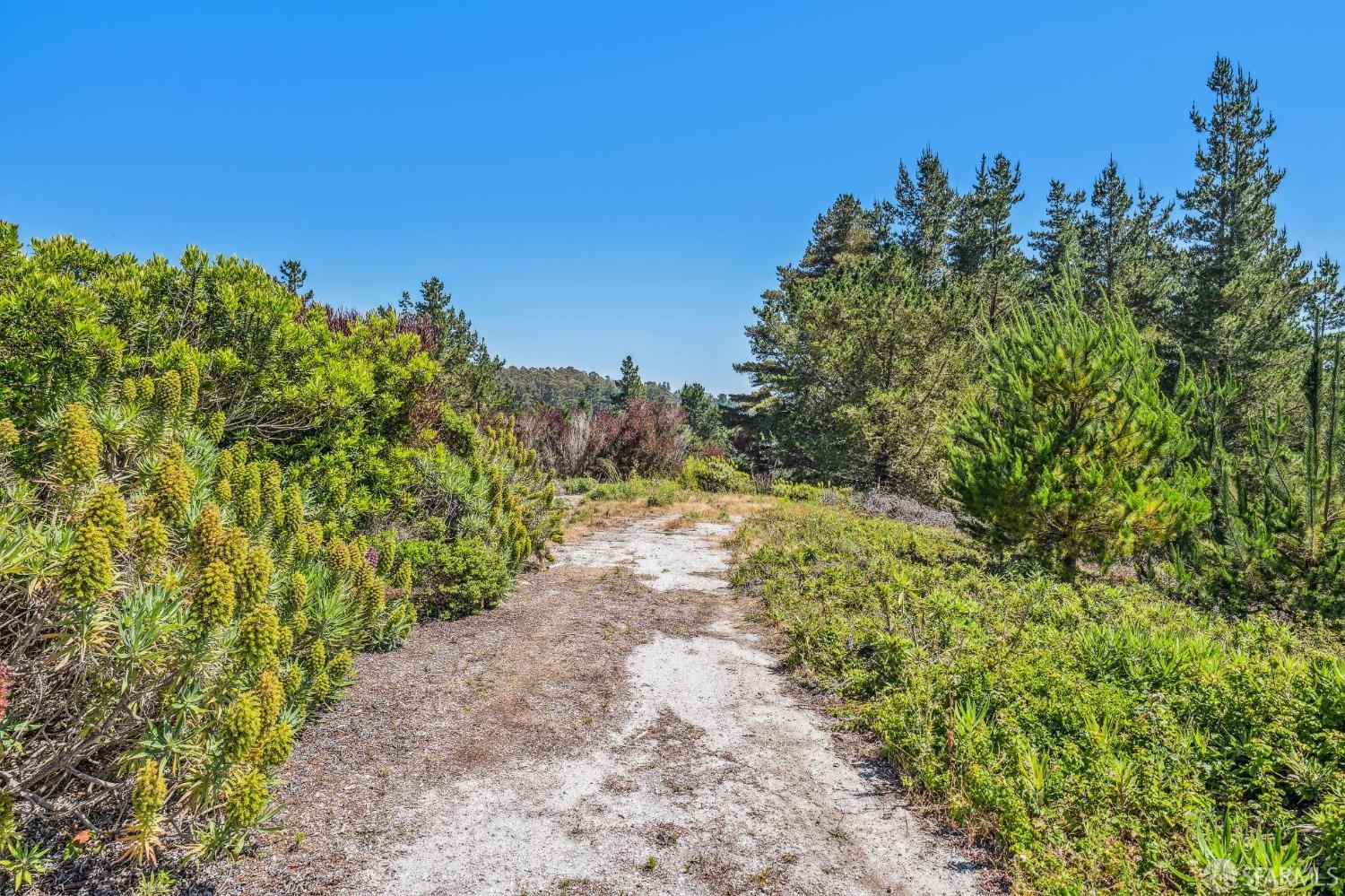 0 Vallecitos Road Montara, CA 94037 - Photo 26 of 32