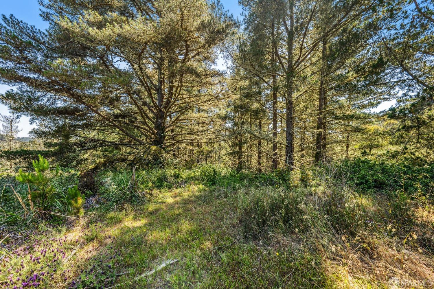 0 Vallecitos Road Montara, CA 94037 - Photo 31 of 32