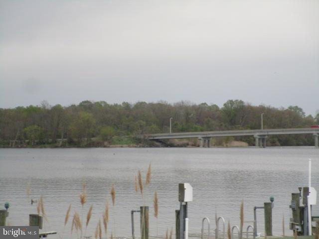 63 Hacks Point Road Earleville, MD 21919 - Photo 31 of 32 Winter View at the end of the street