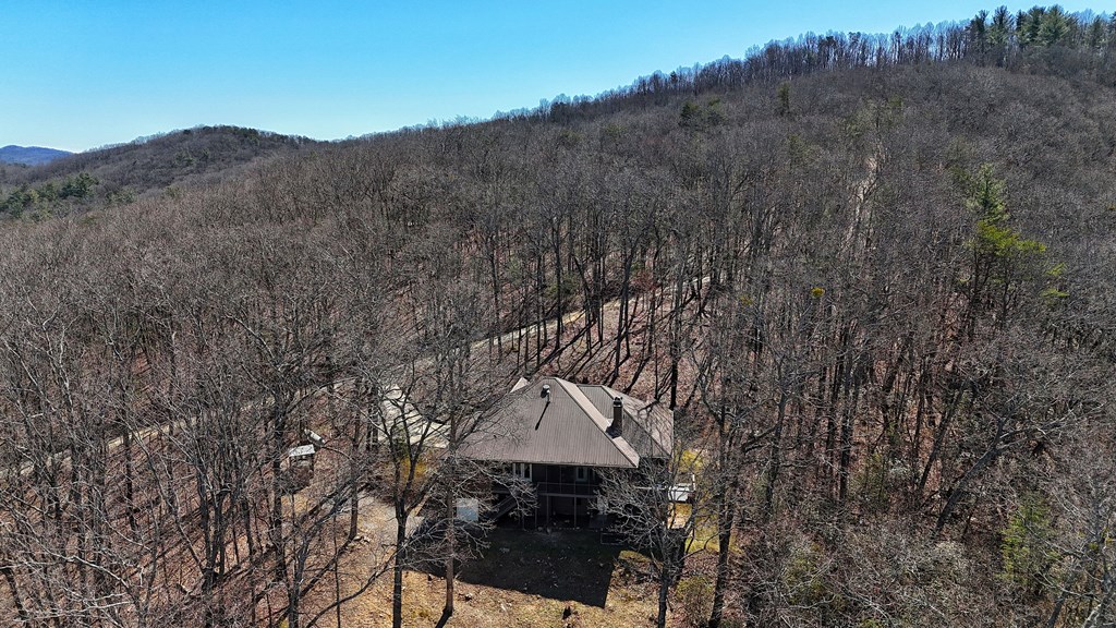 790 Old Burnt Mountain Road Ellijay, GA 30536 - Photo 12 of 91 Gallery Image 12
