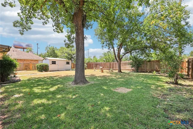a view of a yard with a tree