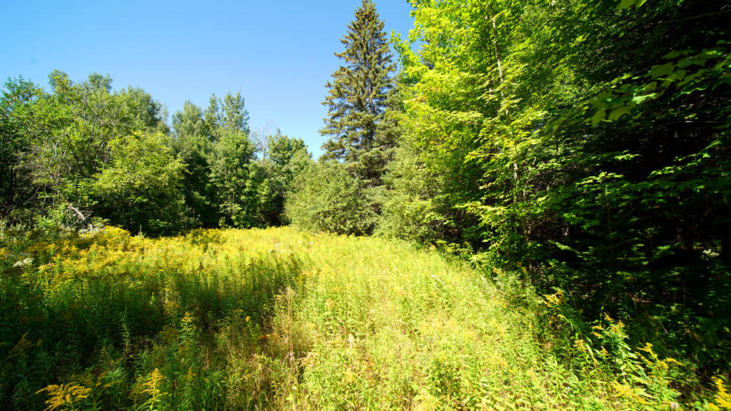 Lot 48 White Road Houlton, ME 04730 - Photo 26 of 27 white-rd-clark-21