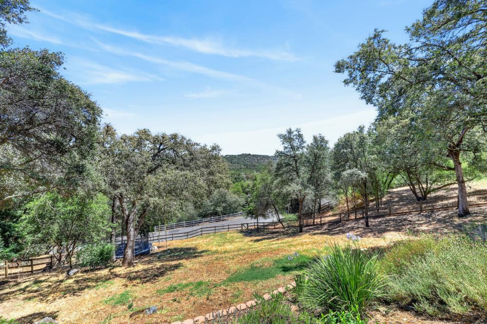 4207 Bear Paw Court Rescue, CA 95672 - Photo 59 of 87