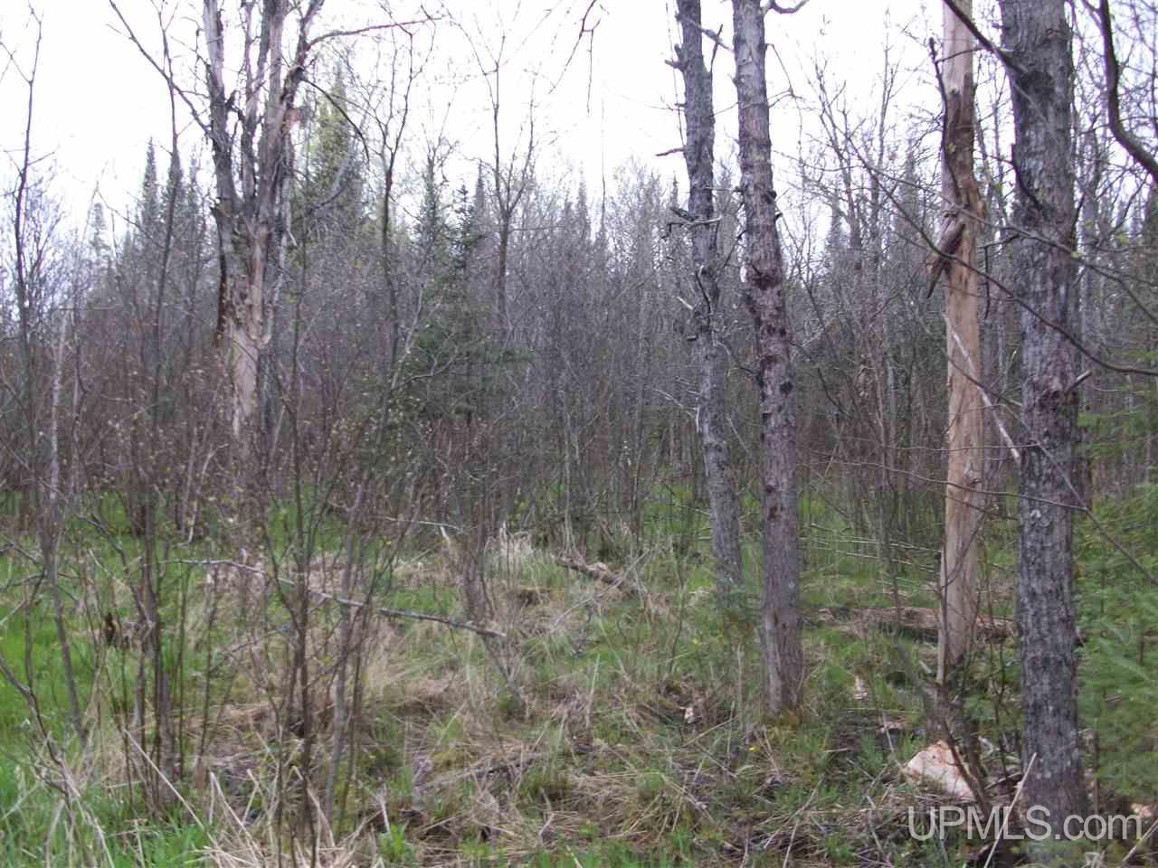 Tbd County Line Road Rock, MI 49880 - Photo 7 of 10