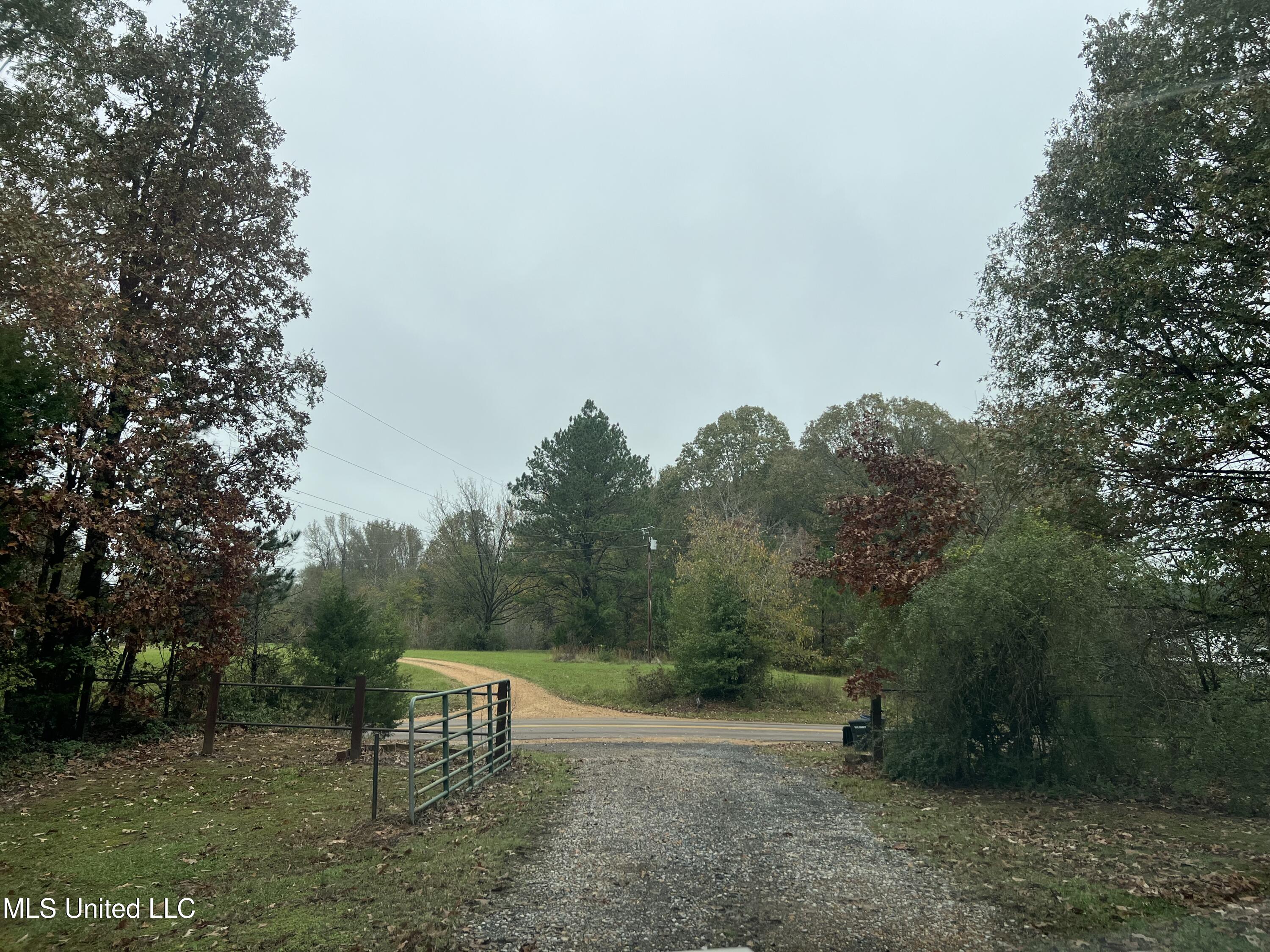 3418 Pryor Road Coldwater, MS 38618 - Photo 10 of 30 IMG_0040