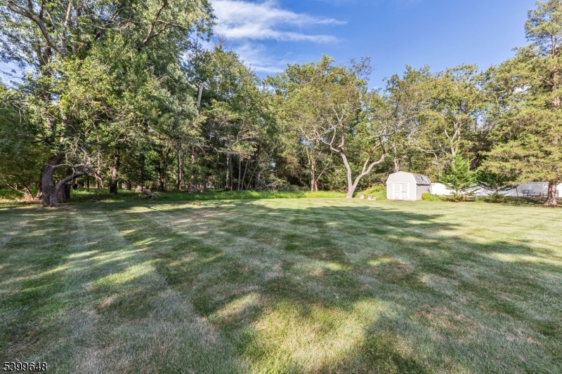 512 Township Line Road Hillsborough, NJ 08844 - Photo 25 of 40 a view of outdoor space with trees all around