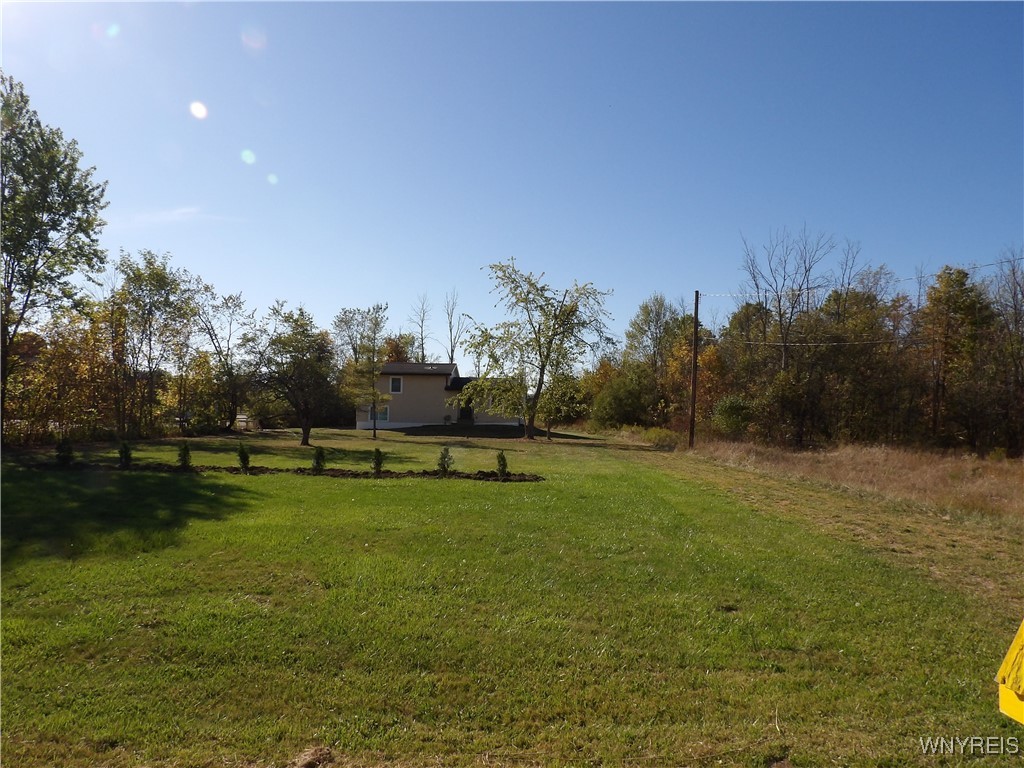 10332 Transit Road Amherst, NY 14051 - Photo 3 of 40 Front Yard View from Transit Rd